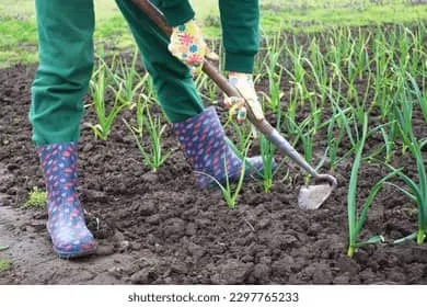 Travaux agricoles